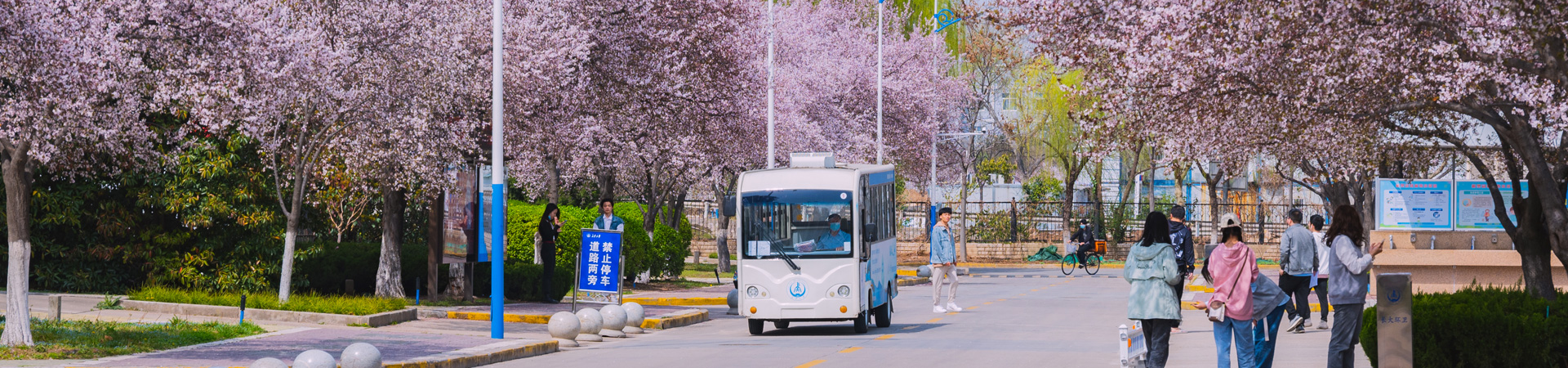 电子百家乐